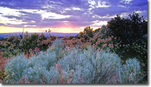 blue Albuquerque sunset